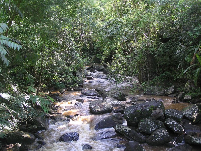 AMANI NATURE RESERVE