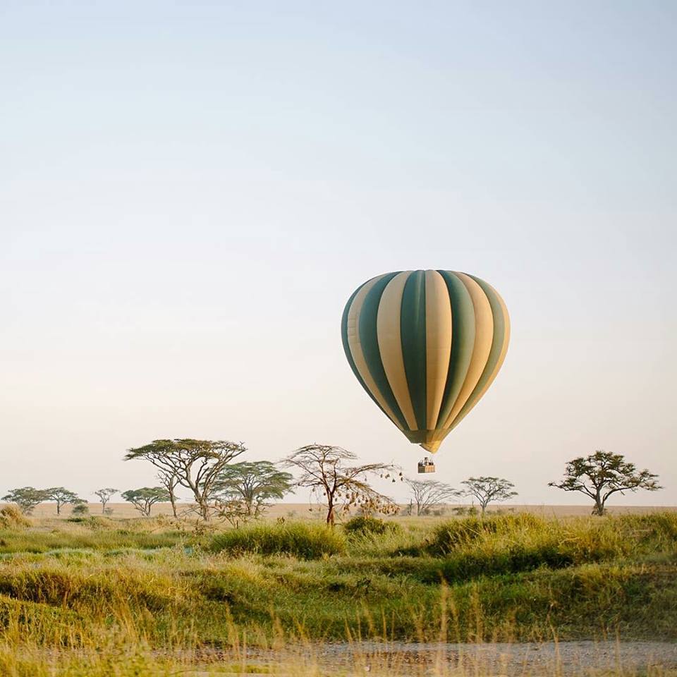 Serengeti national park