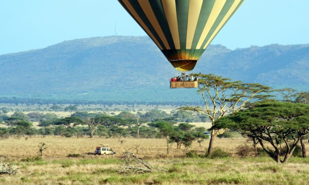 7 Days Climb Kilimanjaro Machame Route and Safari