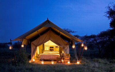SERENGETI UNDER CANVAS