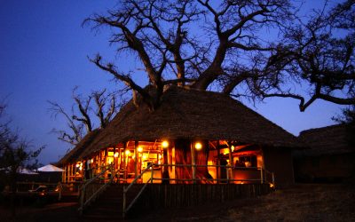 Treetop Tented Camp Tarangire