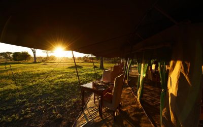 DUNIA CAMP SERENGETI