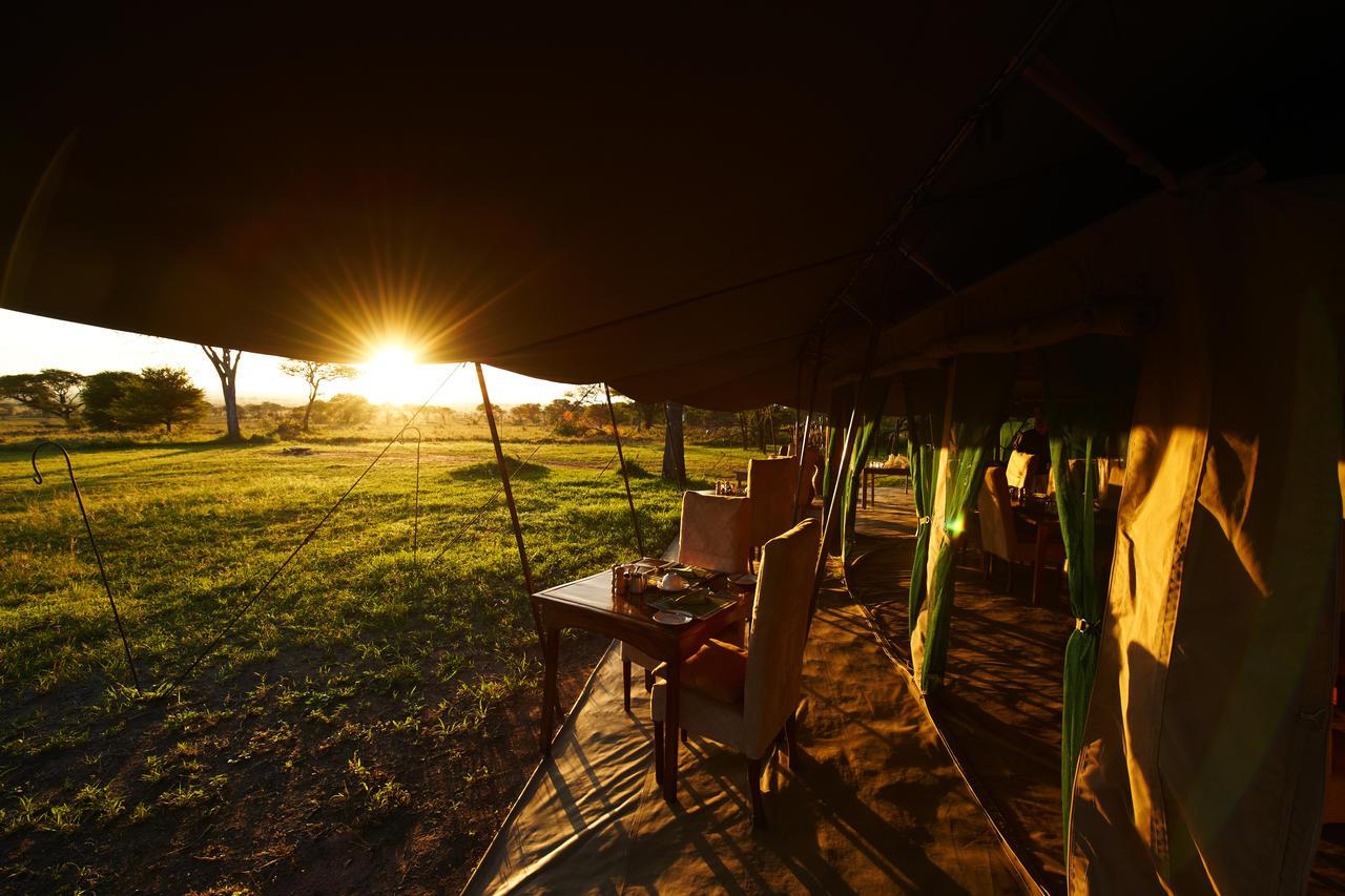 dunia camp serengeti