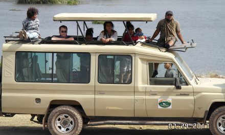 Safari Vehicles