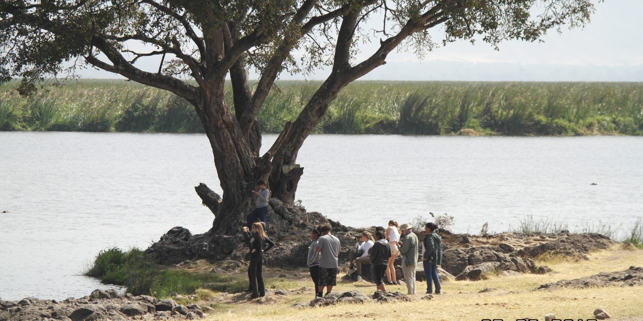 3 Days Safari Serengeti and Ngorongoro