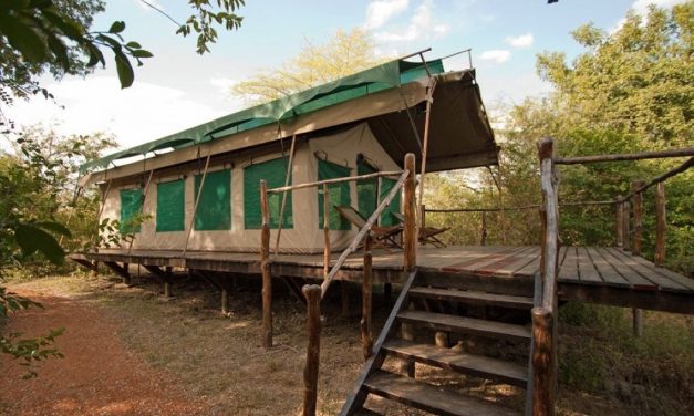 4Days/3Nights Budget Safari