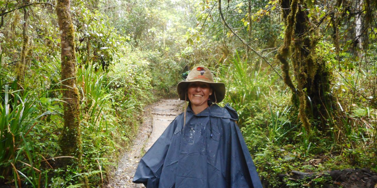 6 Days Kilimanjaro – 3 Days Zanzibar