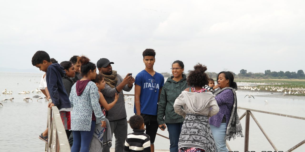 Day Trip Safari to Lake Manyara National Park