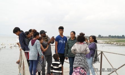Day Trip Safari to Lake Manyara National Park