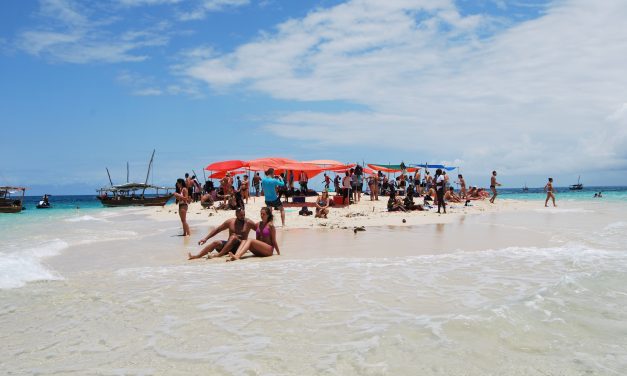 Africa Safari Tours