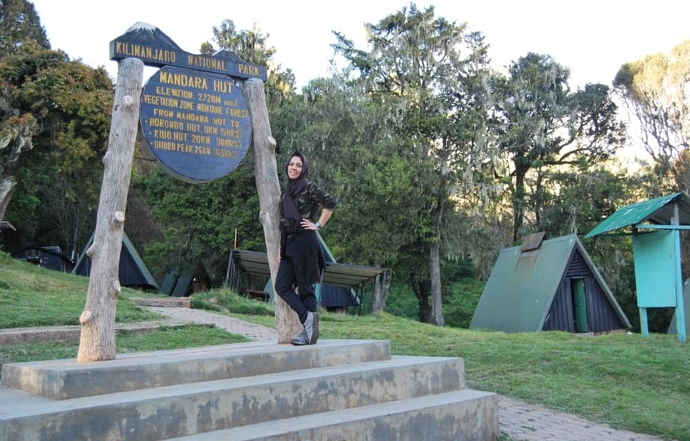 5 Days Climb Kilimanjaro