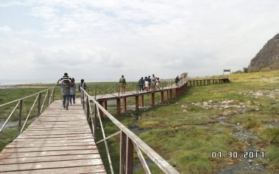 Lake Manyara National Park
