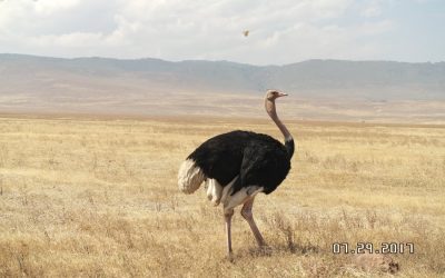 KITULO NATIONAL PARK