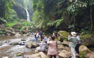 Gombe National Park