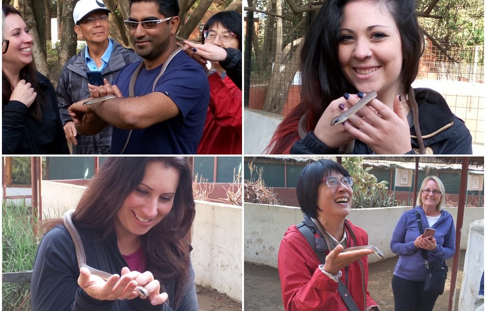 Day Trip To Meserani Snake Park