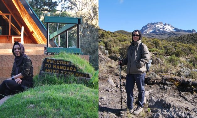 Kilimanjaro Climb Day Trip