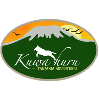 Kuwa-Huru-Adventure-Small-Logo