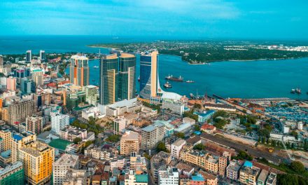 7 Days Dar es salaam city Tanzania and Zanzibar Beach