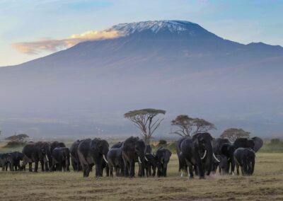 Mount Kilimanjaro Tanzania East Africa Free Standing Mountain in The world.