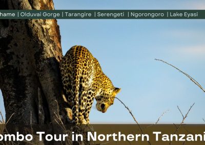 The Combo Tour Banner to Northern Tanzania