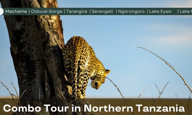 15 Day Combo Tour in Northern Tanzania