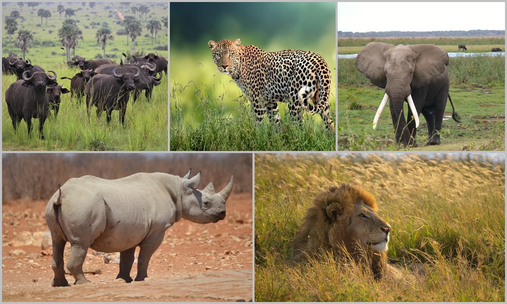 4 Days Big Five Serengeti Safari