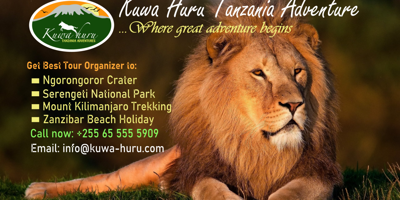 Welcome to Top Travel Safaris Tanzania Adventure