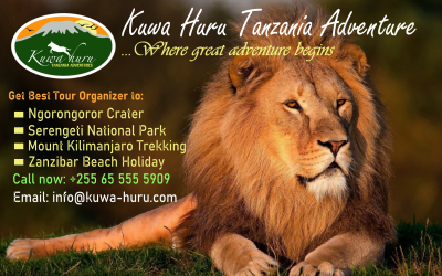 Welcome to Top Travel Safaris Tanzania Adventure
