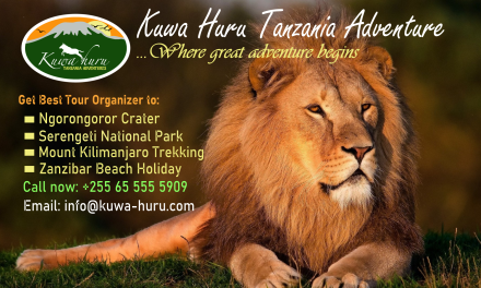 Welcome to Top Travel Safaris Tanzania Adventure