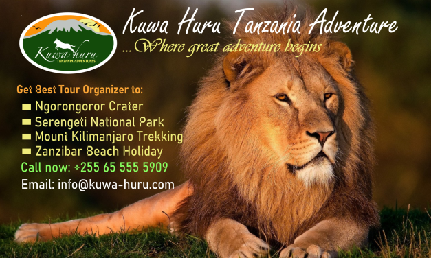 Welcome to Top Travel Safaris Tanzania Adventure
