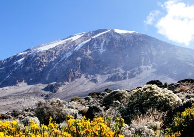 Kilimanjaro Trekking via Marangu Route