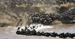 The Great Migration Crossing the River