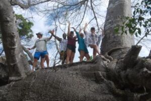 200-years-Bao-Bao-tree-in-Zanzibar-Safari-