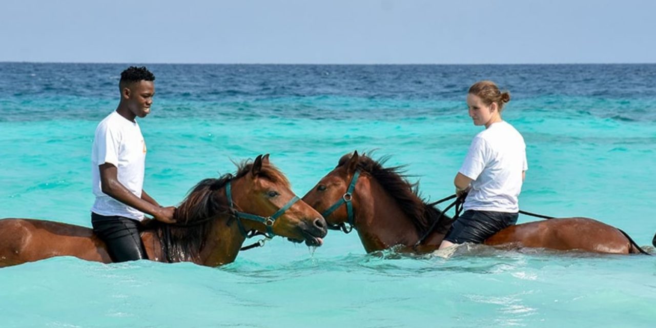 Zanzibar Horse Riding