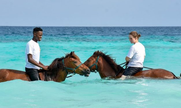 Zanzibar Horse Riding